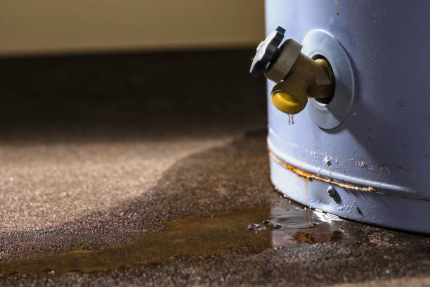 Best Water damage restoration near me  in Depew, NY