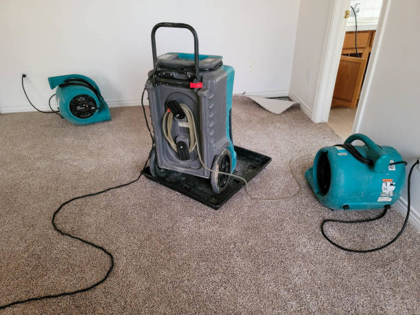 Best Flood restoration services  in Depew, NY