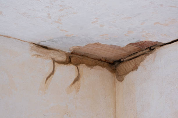 Best Mold removal after water damage  in Depew, NY