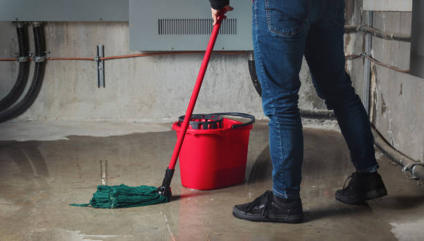 Best Residential water damage restoration  in Depew, NY