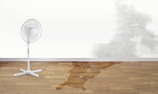Best Local water damage restoration  in Depew, NY