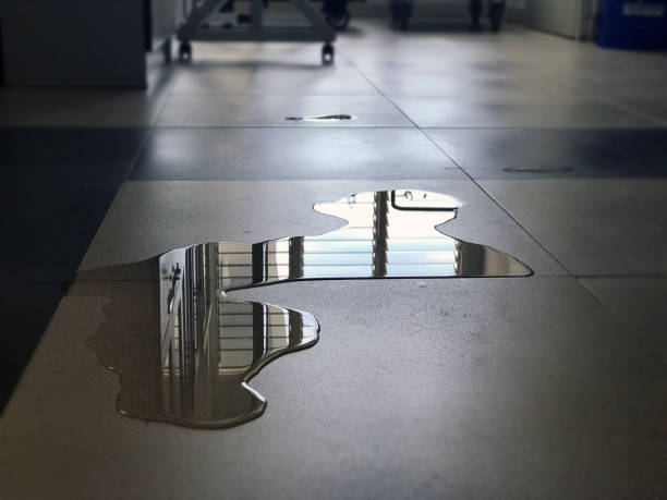 Best Professional water damage repair  in Depew, NY