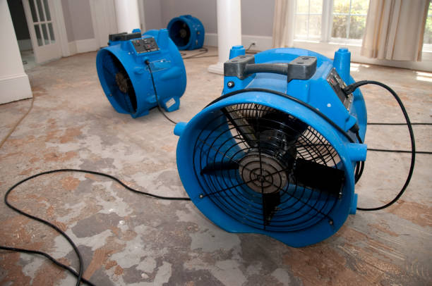 Best Flood restoration services  in Depew, NY