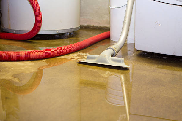 Best Fire Damage Restoration  in Depew, NY