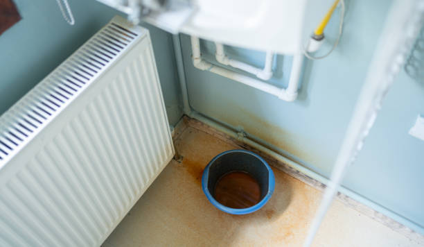 Best Water damage contractors near me  in Depew, NY
