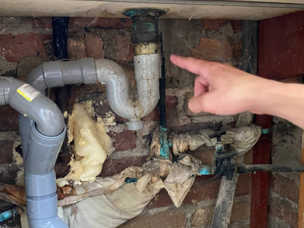Best Fire Damage Restoration  in Depew, NY