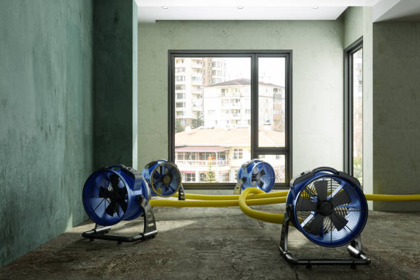 Best Local water damage restoration  in Depew, NY