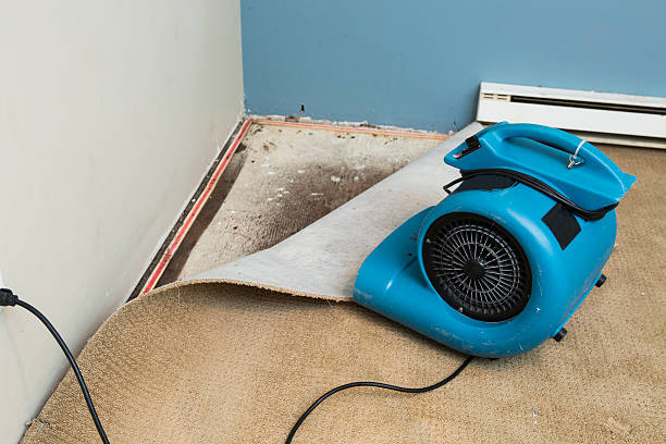 Best 24/7 water damage repair  in Depew, NY